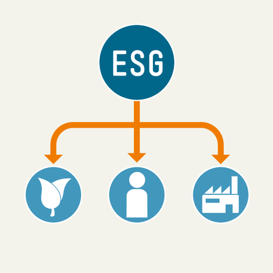 ESG