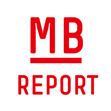 Icon MB-Report